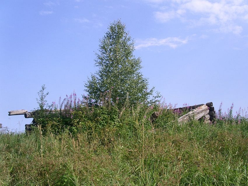 Ефимовская (Остров), урочище. Часовня Георгия Победоносца и мучеников Кирика и Иулитты. фасады, вид с юго-запада