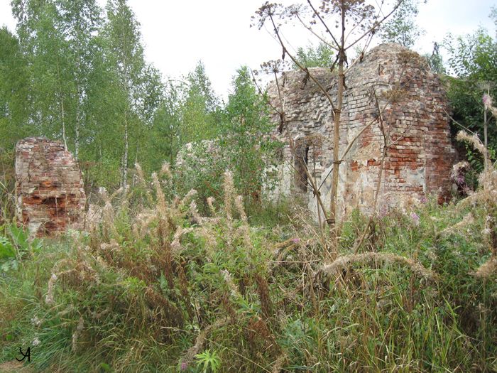 Церковь Спаса Преображения, Митьково (Спас-Митьково) (Ржевский район и г. Ржев, Тверская область). архитектурные детали