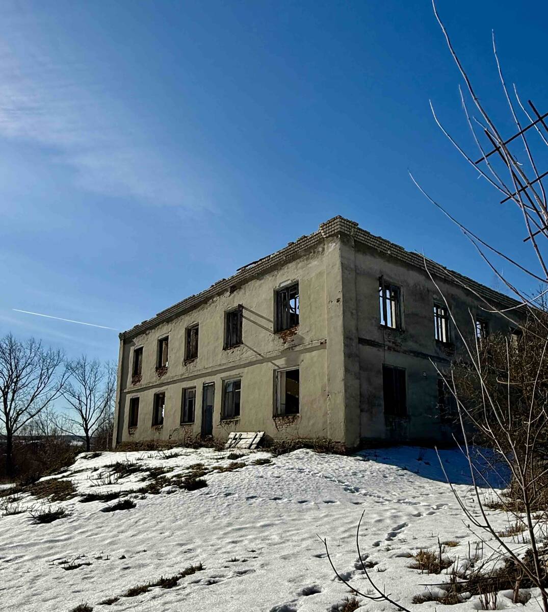 Церковь Вознесения Господня, Елховка (Вадский район, Нижегородская область). архитектурные детали