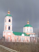 Церковь Георгия Победоносца, , Требунки, Данковский район, Липецкая область