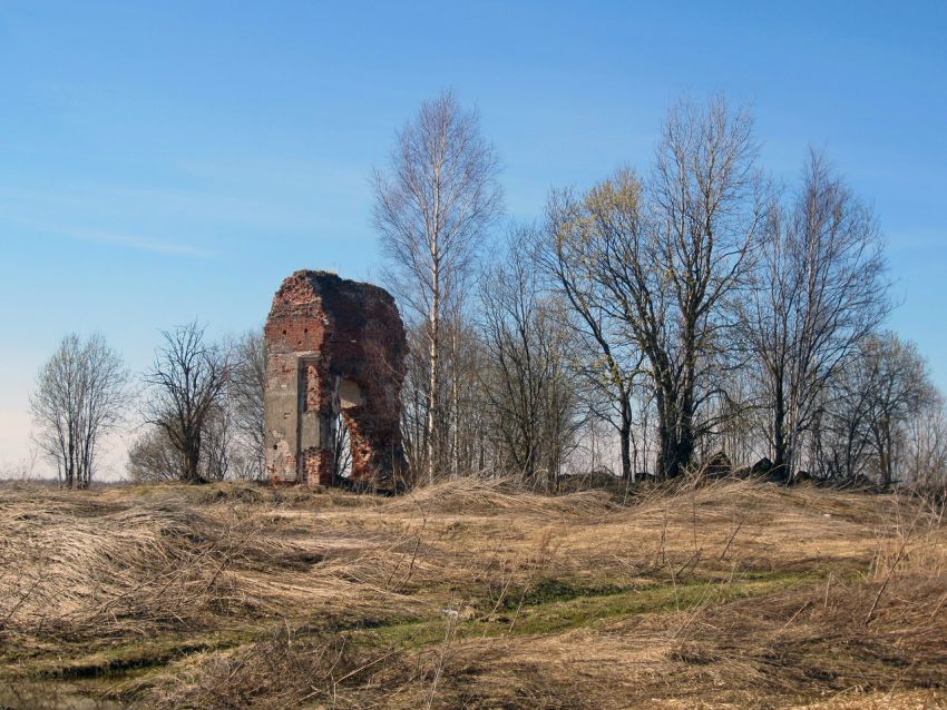 Церковь Михаила Архангела, Щапово, урочище (Ржевский район и г. Ржев, Тверская область). общий вид в ландшафте, Вид на руины с юго-востока