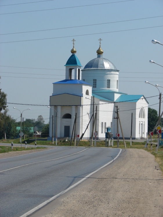 Афанасьево. Церковь Троицы Живоначальной. общий вид в ландшафте