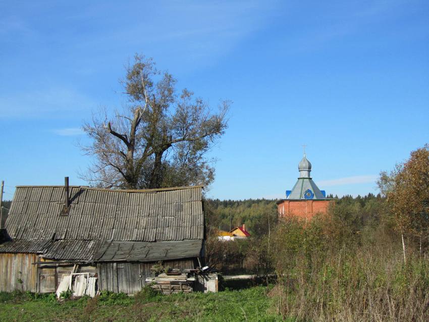 Церковь Воскресения Христова, Желовь (Перемышльский район, Калужская область). общий вид в ландшафте, вид с востока