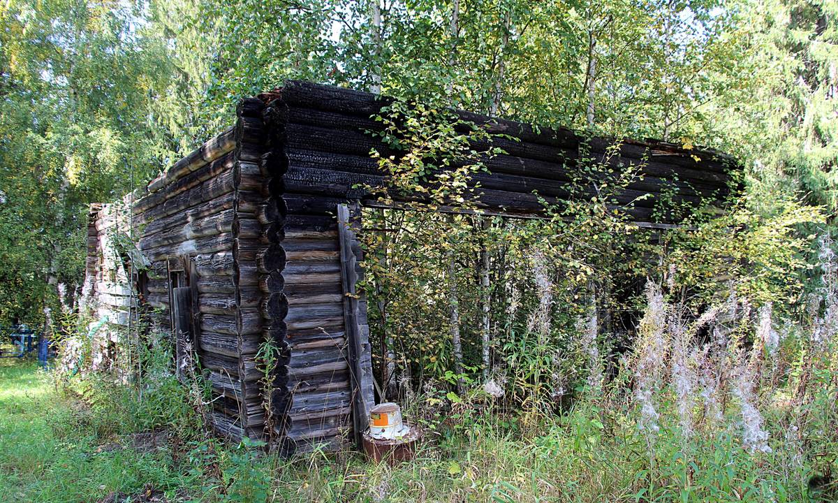 Церковь Николая Чудотворца, Кудрино (Никольский район, Вологодская область). фасады