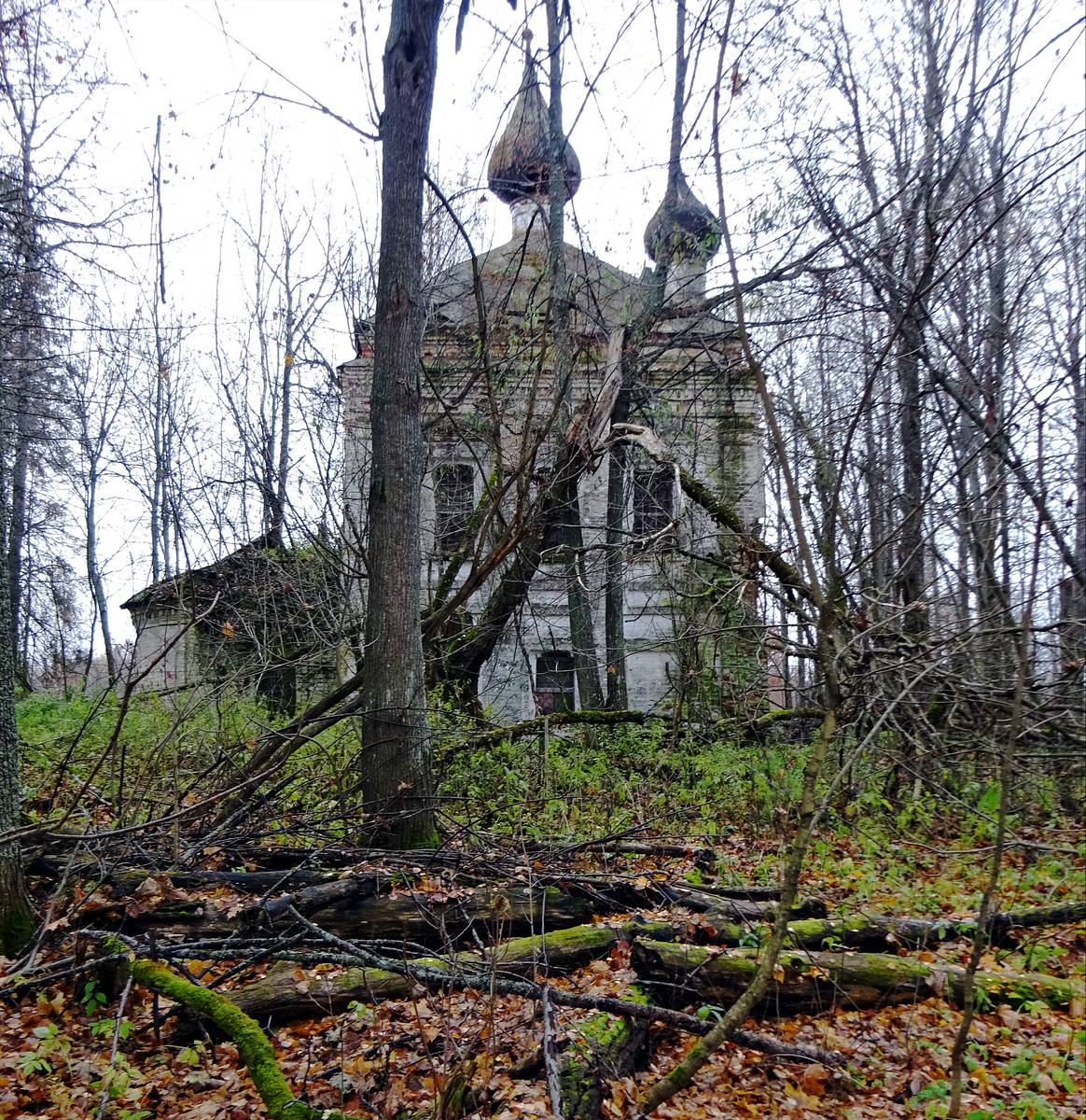Церковь Рождества Пресвятой Богородицы на Сендеге, Никола-Пустынь (Островский район, Костромская область). фасады