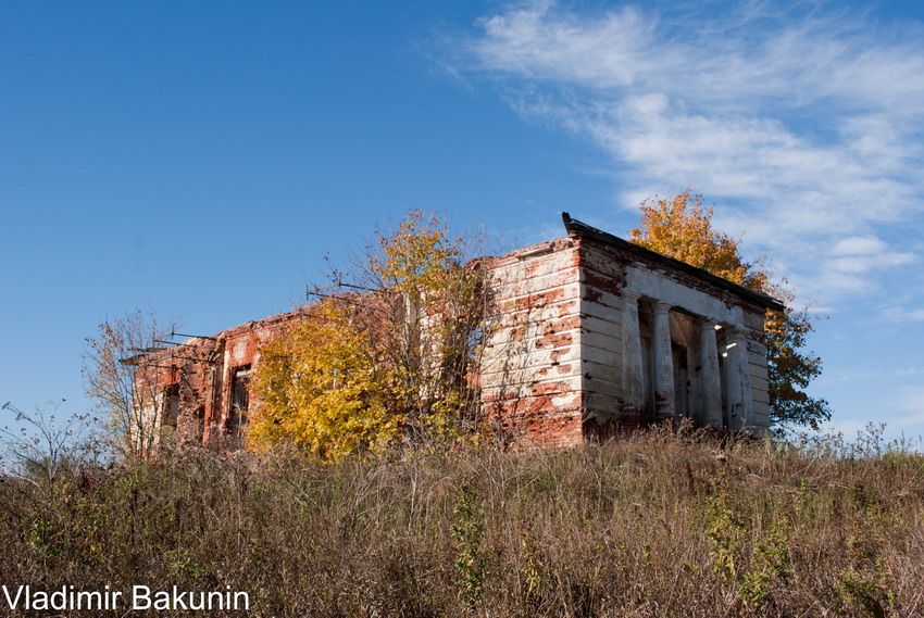 Болдинский район