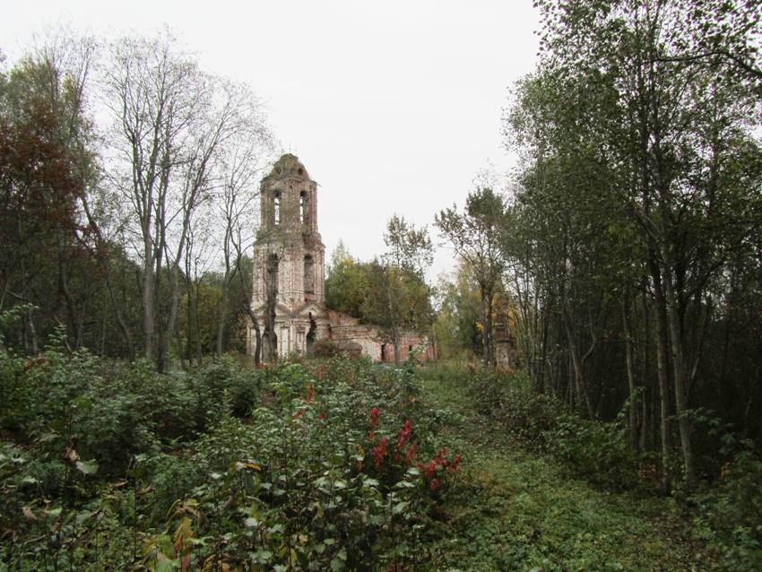 Церковь Боголюбской иконы Божией Матери, Самылово (Мантуровский район, Костромская область). общий вид в ландшафте, вид с юго-запада
