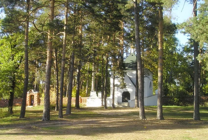 Храм в Желнино. Благовещенская церковь / church of the Annunciation