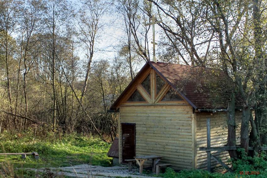 Часовня Казанской иконы Божией Матери, Спас-Прогнанье (Жуковский район, Калужская область). общий вид в ландшафте