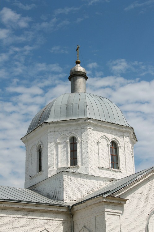 Церковь Вознесения Господня, Берёзовка (Аннинский район, Воронежская область). архитектурные детали, купол