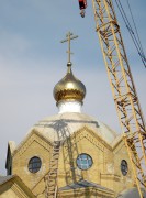 Церковь Рождества Пресвятой Богородицы - Колтуновка - Алексеевский район - Белгородская область