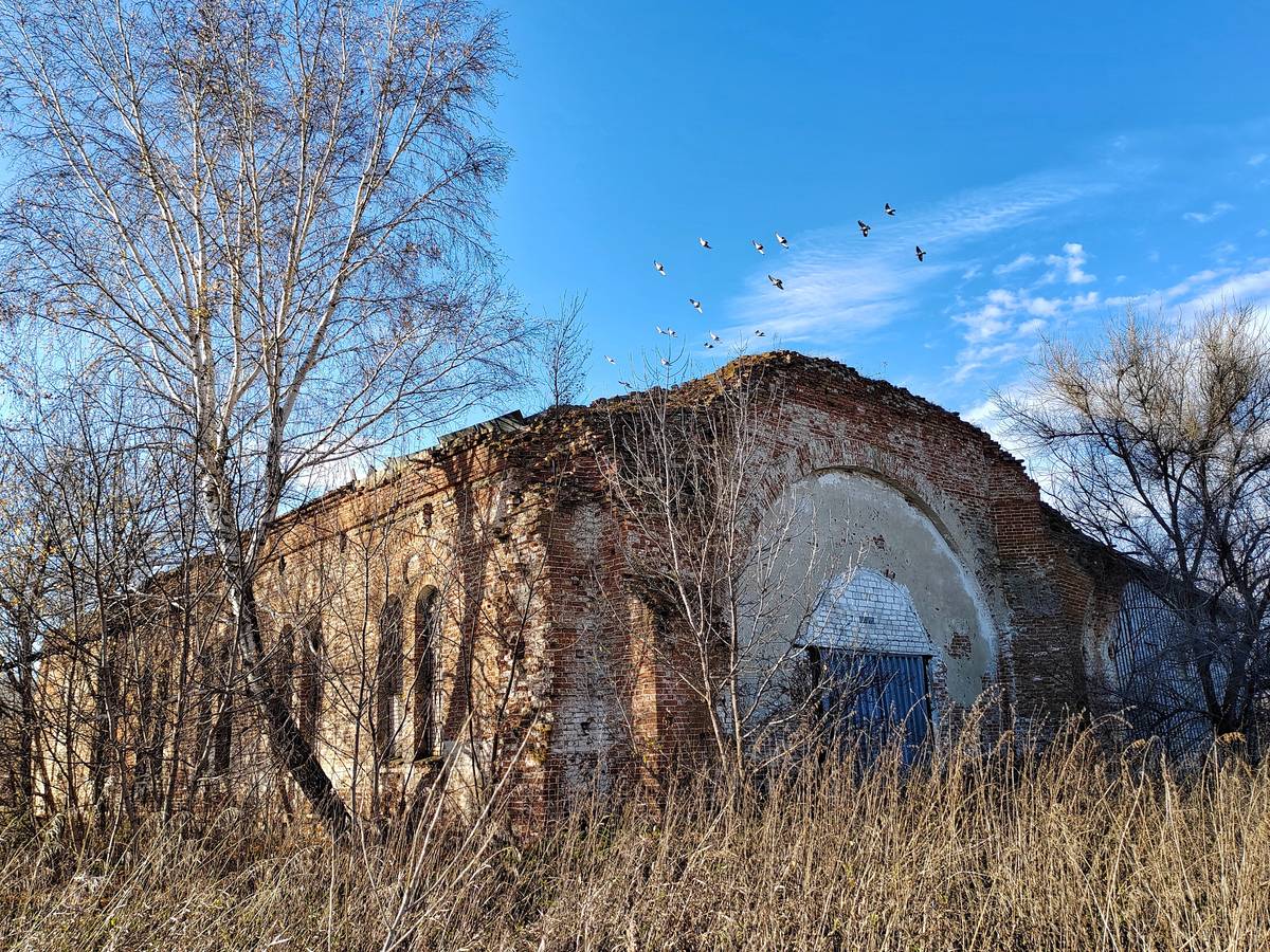 Церковь Покрова Пресвятой Богородицы, Шукавка (Верхнехавский район, Воронежская область). фасады