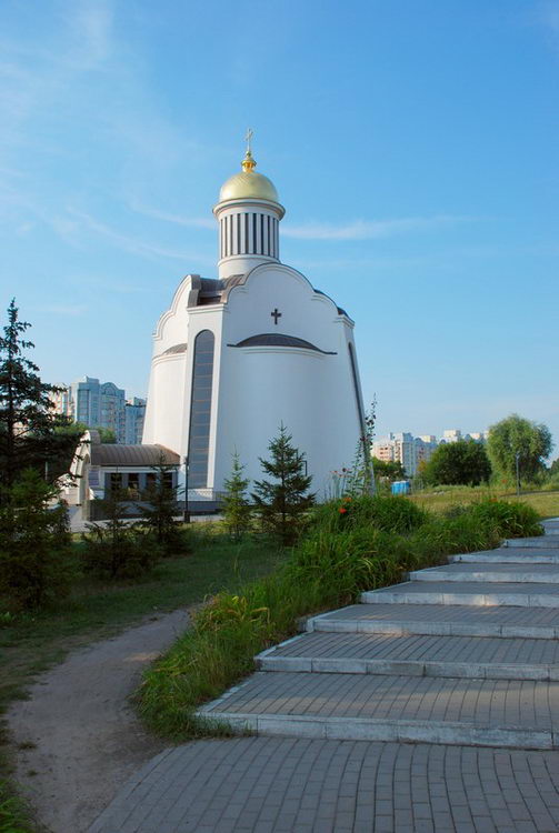 Киев. Кафедральный собор Спаса Преображения. общий вид в ландшафте