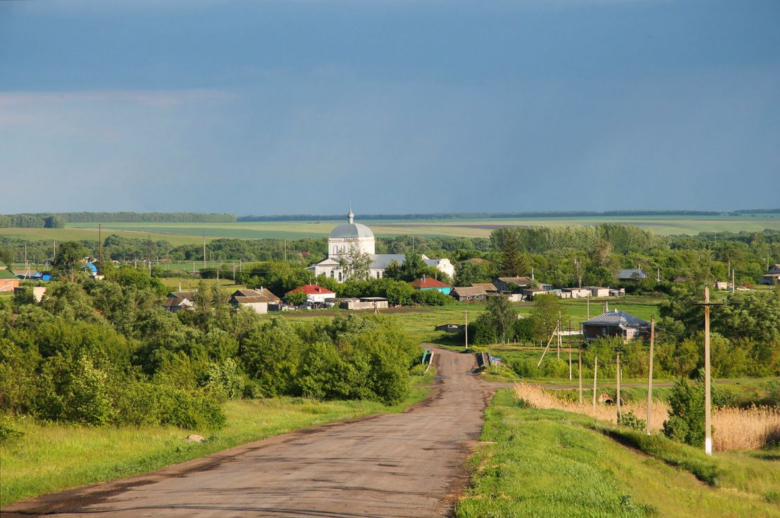 Ростоши. Церковь Космы и Дамиана. общий вид в ландшафте