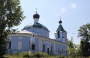 Церковь Рождества Пресвятой Богородицы - Радовицы - Егорьевский городской округ - Московская область