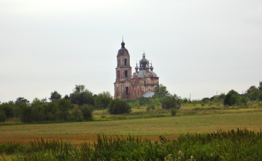 Низовка. Церковь Михаила Архангела. общий вид в ландшафте