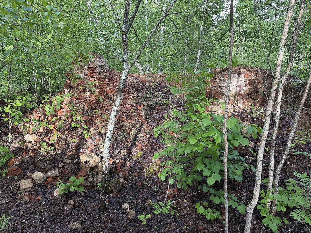 Фрагменты алтарной части, вид с запада, архитектурные детали. Колокольня церкви Спаса Преображения, Бойня, урочище (Ржевский район и г. Ржев, Тверская область)