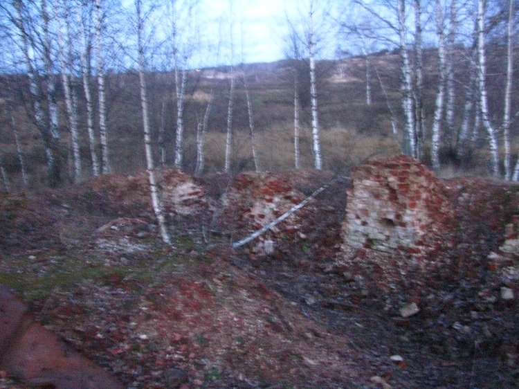 Колокольня церкви Спаса Преображения, Бойня, урочище (Ржевский район и г. Ржев, Тверская область). архитектурные детали, Сохранившиеся фрагменты алтарной стены. Вид 