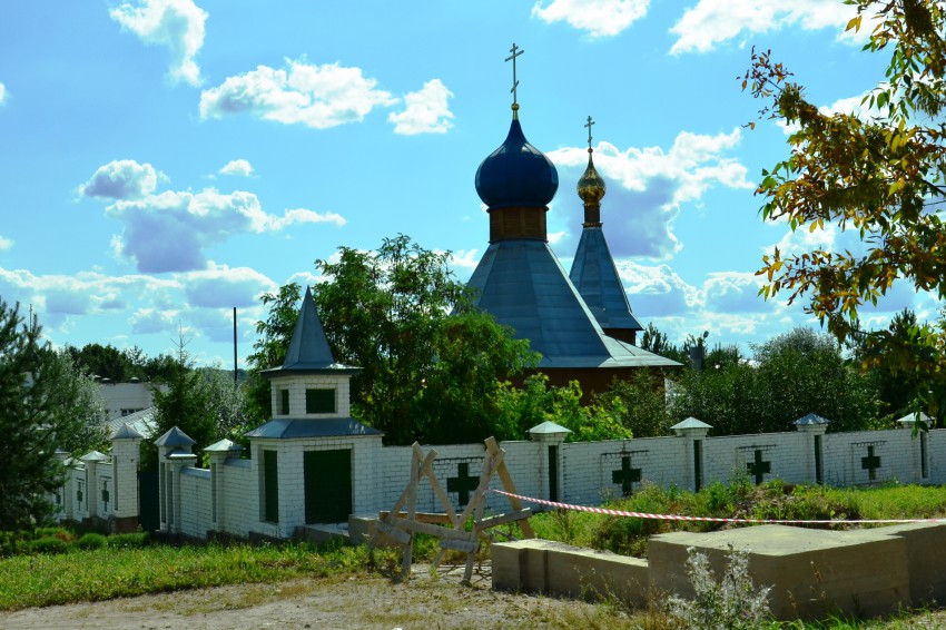 Дорогобуж. Церковь Казанской иконы Божией Матери. общий вид в ландшафте
