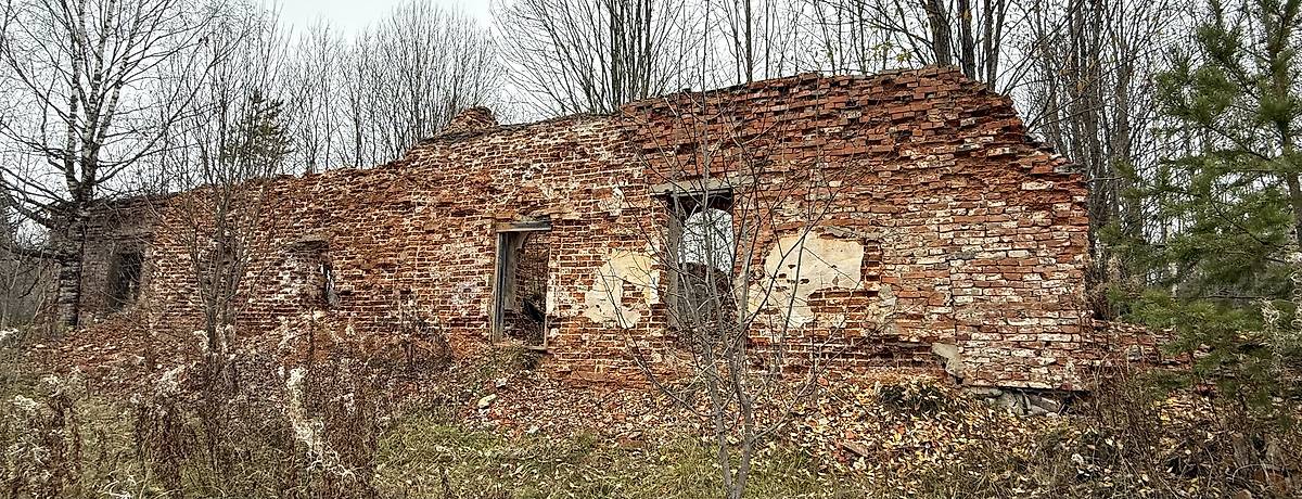 Южный фасад, вид с юго-востока, фасады. Церковь Сретения Господня, Дресвянка (Белозерский район, Вологодская область)