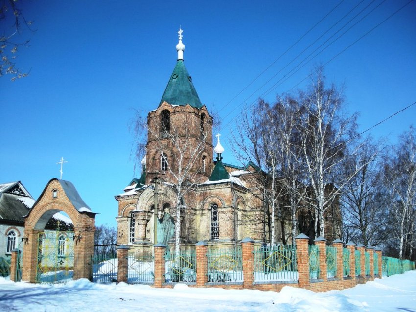 Дорогощь. Церковь Димитрия Солунского. общий вид в ландшафте