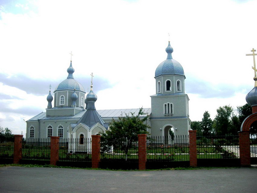 Скородное. Церковь Димитрия Солунского. общий вид в ландшафте
