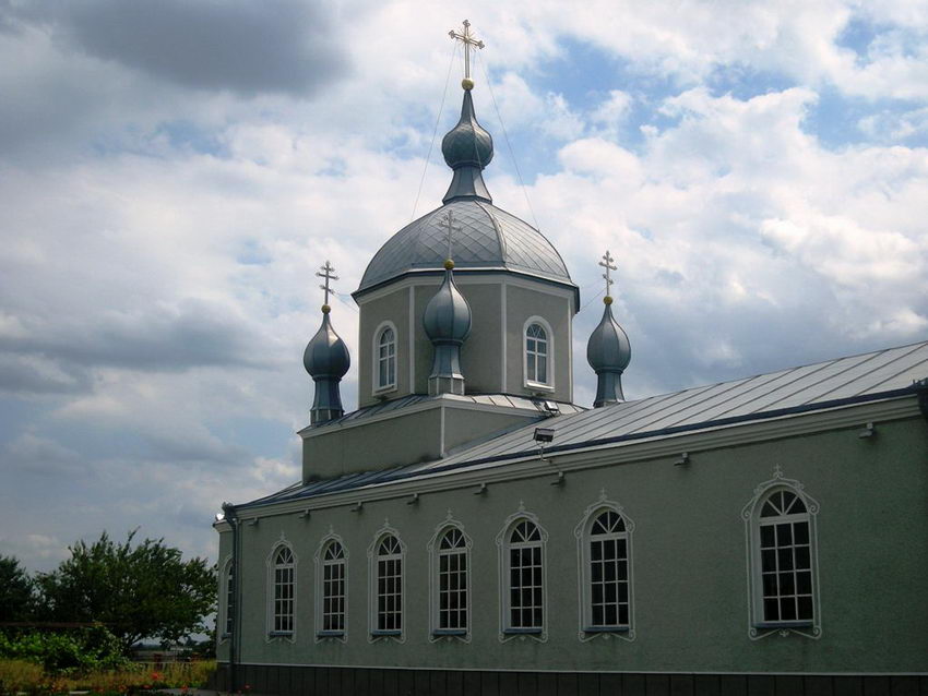 Скородное. Церковь Димитрия Солунского. общий вид в ландшафте