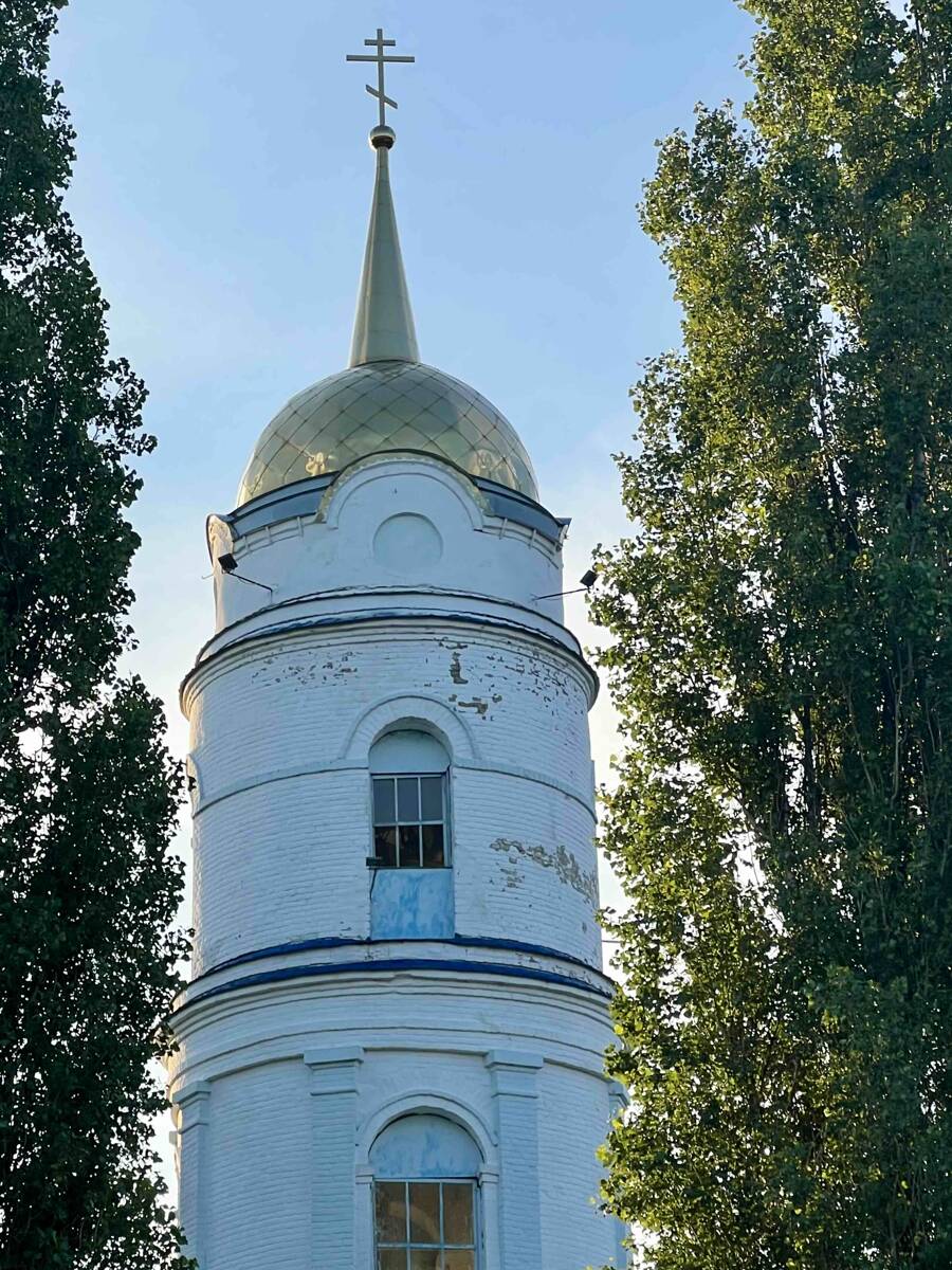 Церковь Илии Пророка, Панино (Добровский район, Липецкая область). архитектурные детали