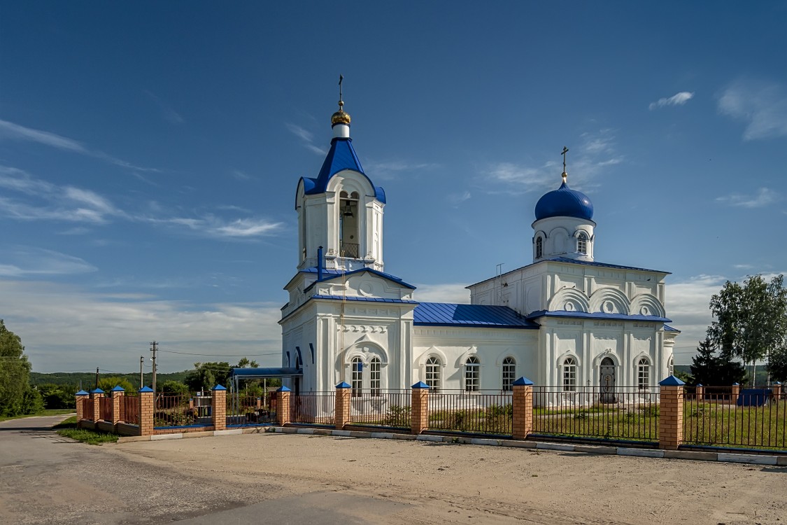 Церковь Казанской иконы Божией Матери, Нижнее Казачье (Задонский район, Липецкая область). общий вид в ландшафте