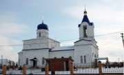 Церковь Казанской иконы Божией Матери, вид с северной стороны<br>, Нижнее Казачье, Задонский район, Липецкая область