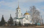 Церковь Троицы Живоначальной в Сокольском
