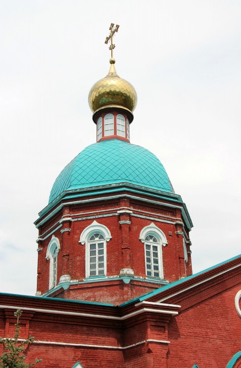 Церковь Рождества Пресвятой Богородицы, Васильевка (Липецкий район, Липецкая область). фасады, купол