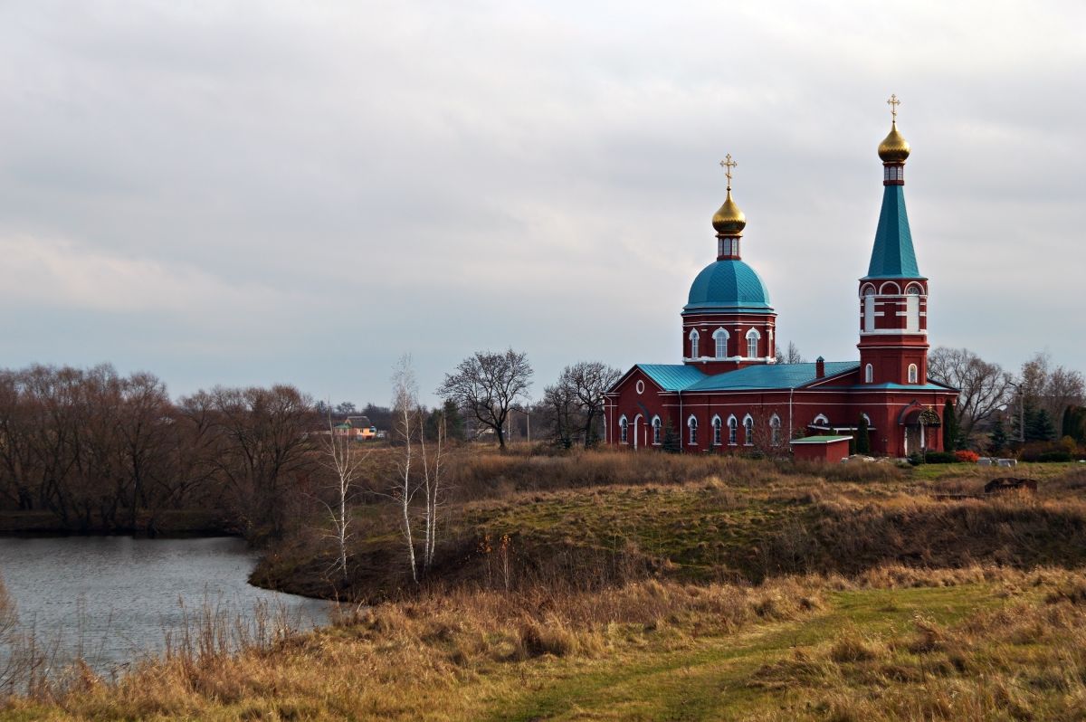 Васильевка. Церковь Рождества Пресвятой Богородицы. общий вид в ландшафте