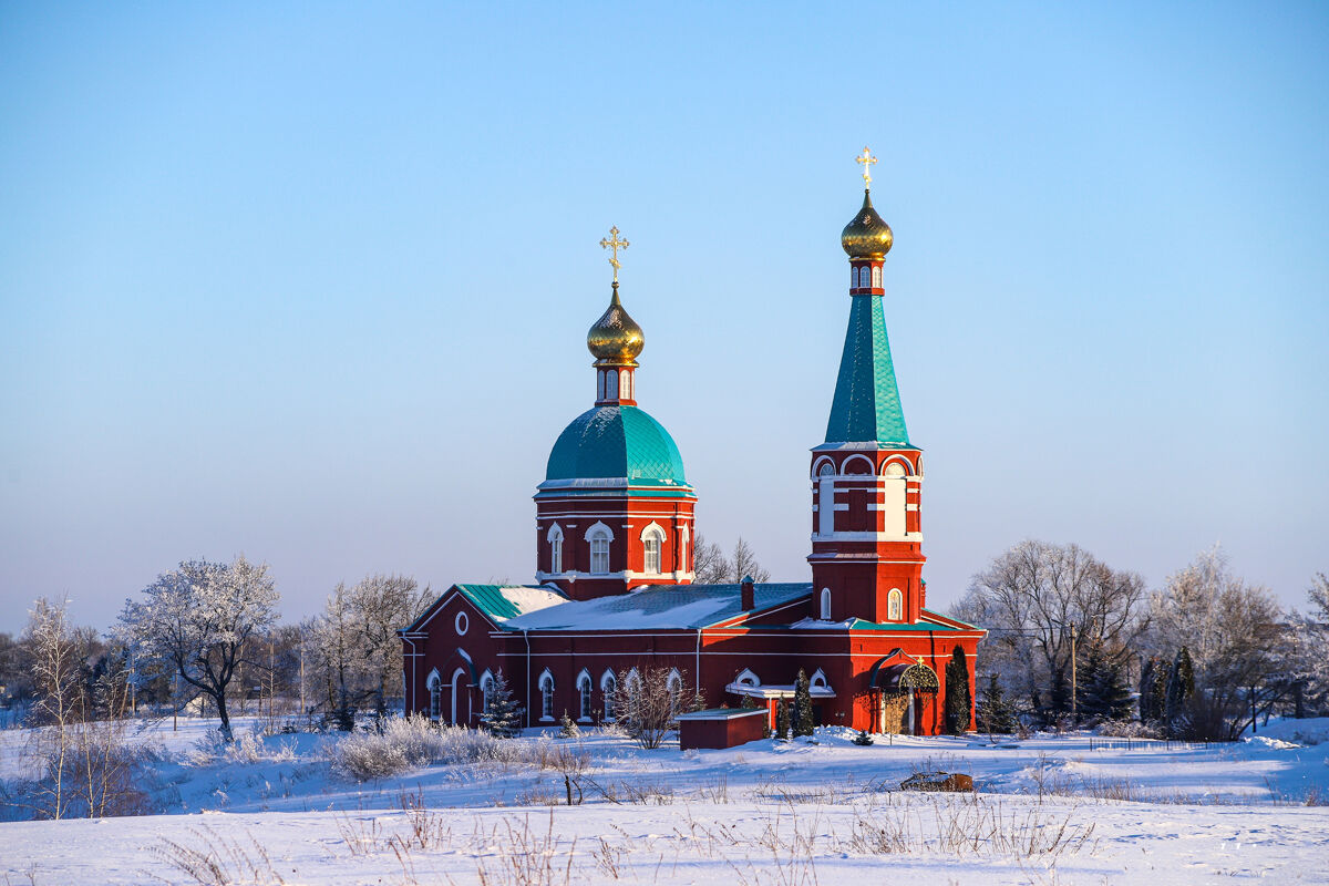 Церковь Рождества Пресвятой Богородицы, Васильевка (Липецкий район, Липецкая область). фасады