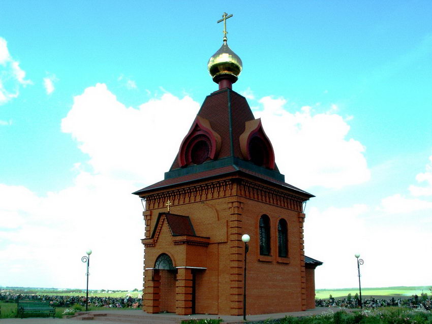 Церковь Рождества Христова, Губкин (Губкин, город, Белгородская область). общий вид в ландшафте