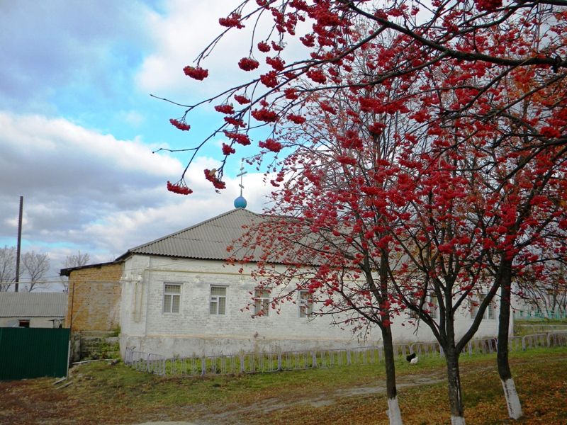 Церковь Вознесения Господня (временная), Богатое (Ивнянский район, Белгородская область). общий вид в ландшафте