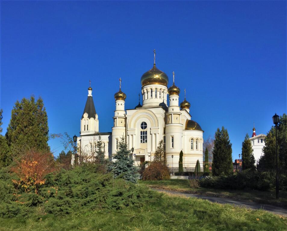 Кафедральный собор Георгия Победоносца, Владикавказ (Владикавказ, город, Республика Северная Осетия-Алания). фасады, Вид с улицы Барбашова