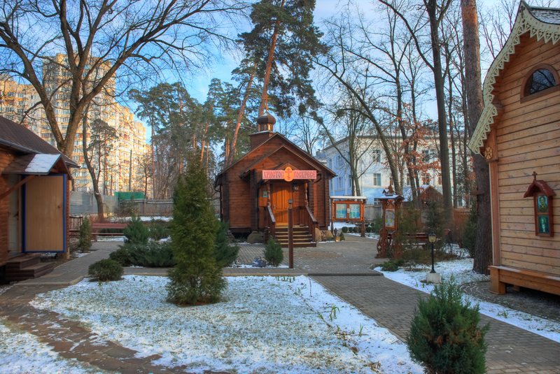 Киев. Церковь Сорока мучеников Севастийских. общий вид в ландшафте