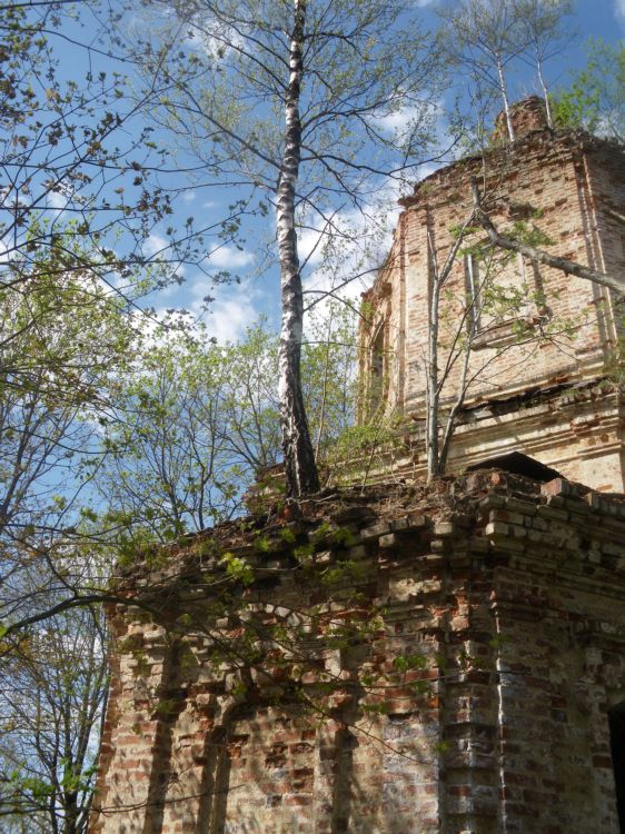 Церковь Успения Пресвятой Богородицы, Добшо (Торопецкий район, Тверская область). архитектурные детали