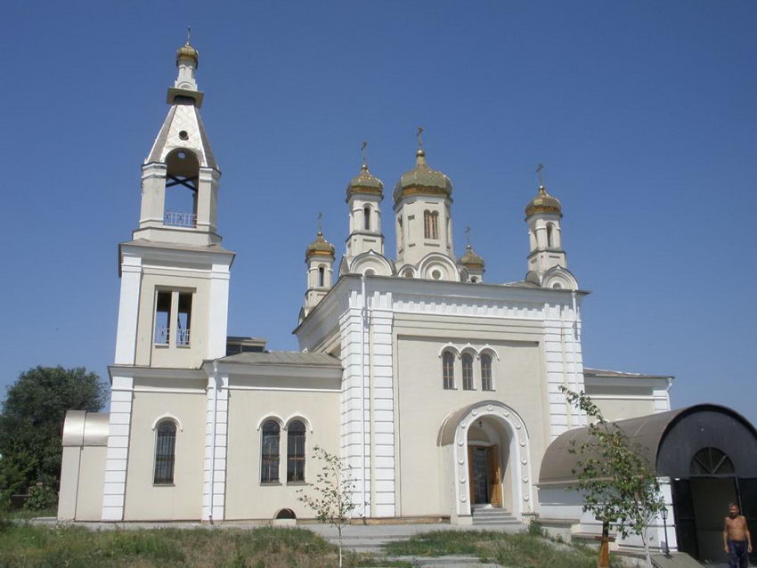 Церковь Рождества Пресвятой Богородицы, Малый Мишкин (Аксайский район, Ростовская область). общий вид в ландшафте, Вид с юга