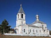 Церковь Рождества Пресвятой Богородицы - Бирюч (Новая Слободка) - Красногвардейский район - Белгородская область