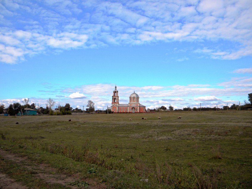 Церковь Димитрия Солунского, Раздорное (Красногвардейский район, Белгородская область). общий вид в ландшафте