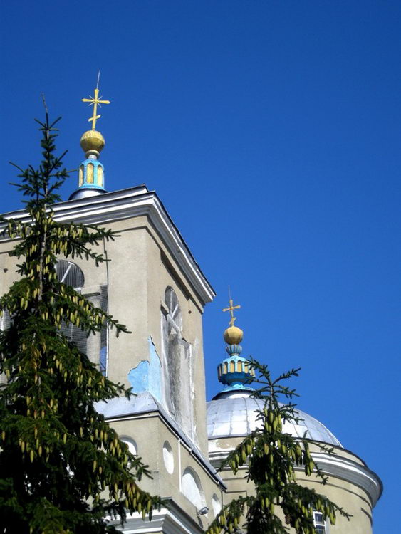 Церковь Казанской иконы Божией Матери, Солдатка (Красногвардейский район, Белгородская область). архитектурные детали