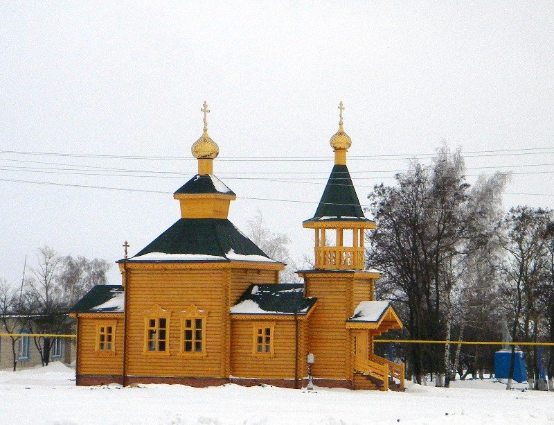 Плота. Церковь Димитрия Солунского. общий вид в ландшафте