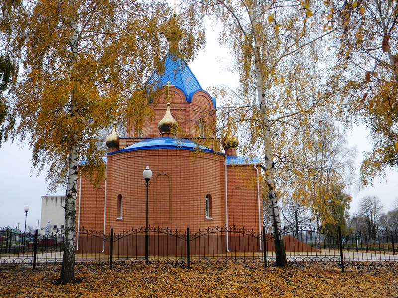 Церковь Покрова Пресвятой Богородицы, Репяховка (Краснояружский район, Белгородская область). общий вид в ландшафте