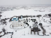 Храмовый комплекс. Церкви Сретения Господня и Покрова Пресвятой Богородицы, , Рикасово (Заостровье), Приморский район, Архангельская область