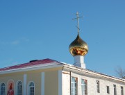 Церковь Андроника, , Чернушка, Чернушинский район, Пермский край