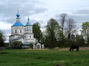 Церковь Николая Чудотворца, вид с северо-запада<br>, Метлино, Торопецкий район, Тверская область