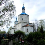 Церковь Николая Чудотворца, вид с юго-востока<br>, Метлино, Торопецкий район, Тверская область