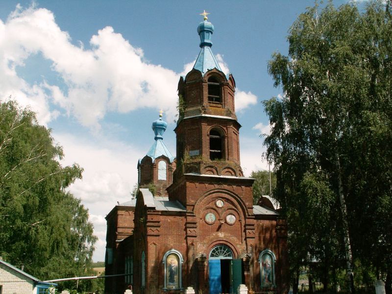 Дмитриевка. Церковь Димитрия Солунского. общий вид в ландшафте